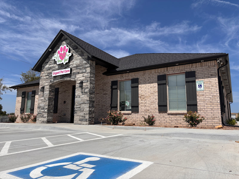 Vital Vet Urgent Pet Care