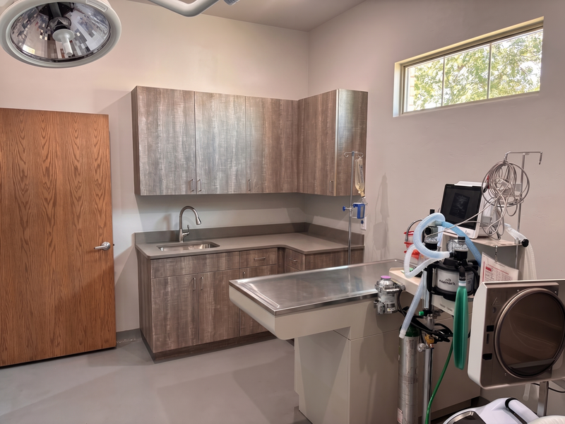 Vital Vet Urgent Pet Care